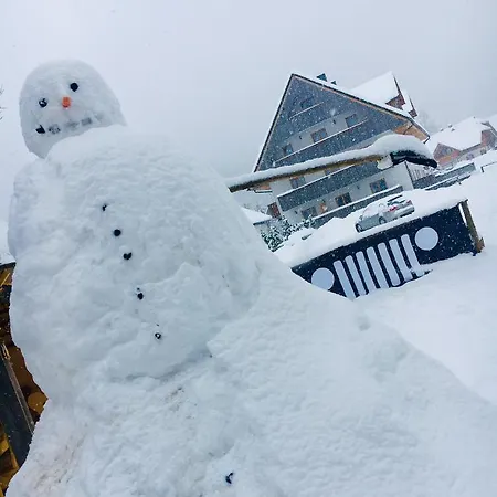 Vall's Apartment- By Ski Slopes